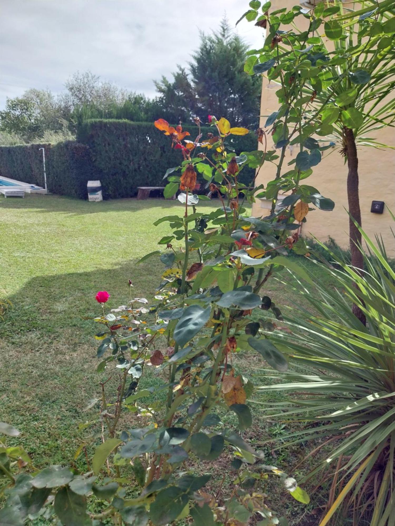 Complejo Cantonavi نونو المظهر الخارجي الصورة